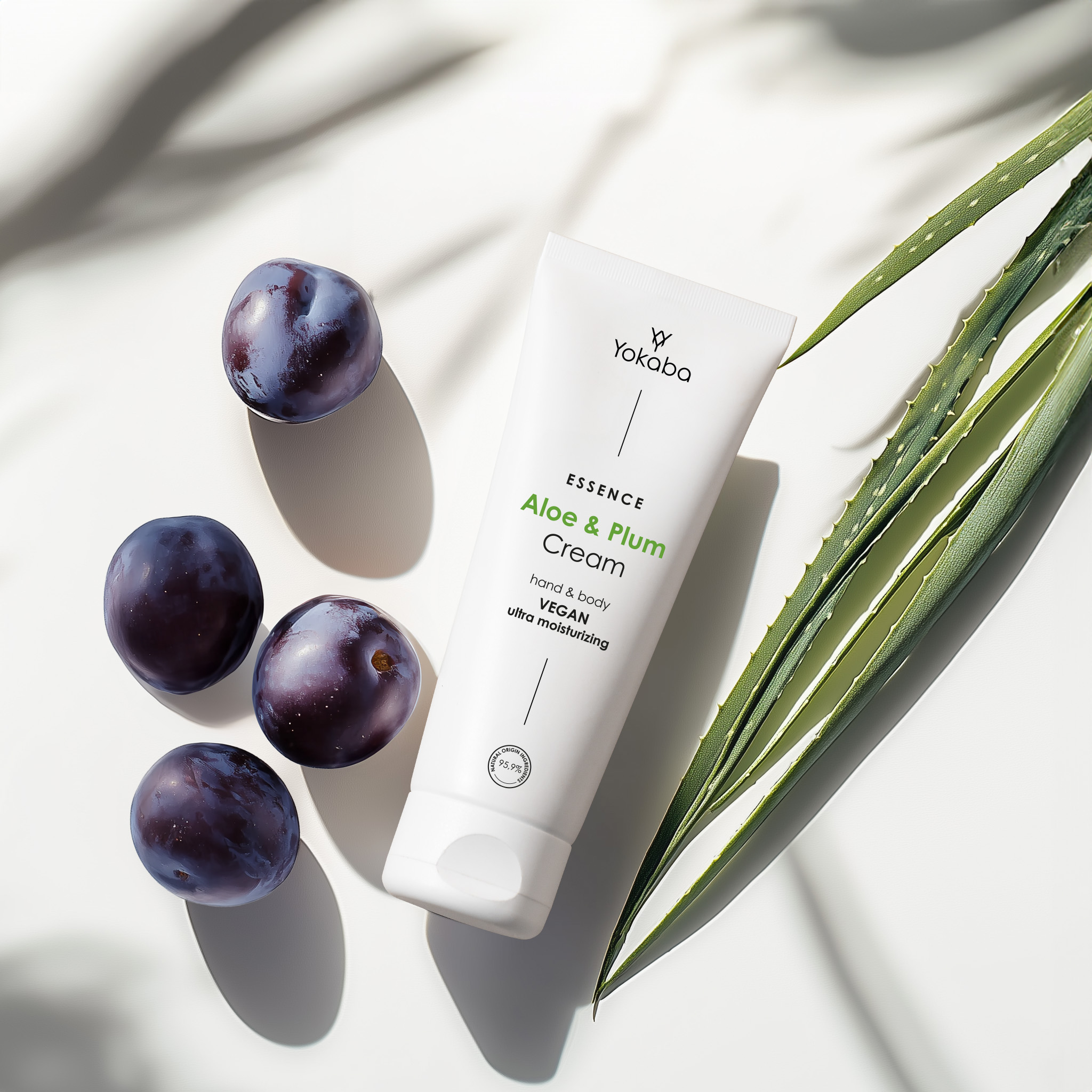 Crème Mains et Corps l'Aloe Vera et Prune - Ultra Hydratante 75ml – Image 2