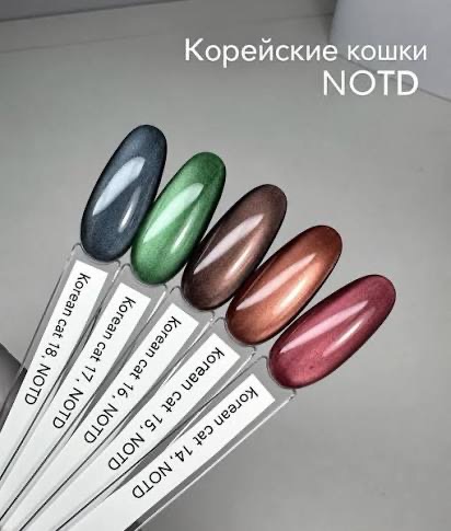 17 Korean cat eye vernis semi permanent 10 ml sans Hema - NOTD – Image 2