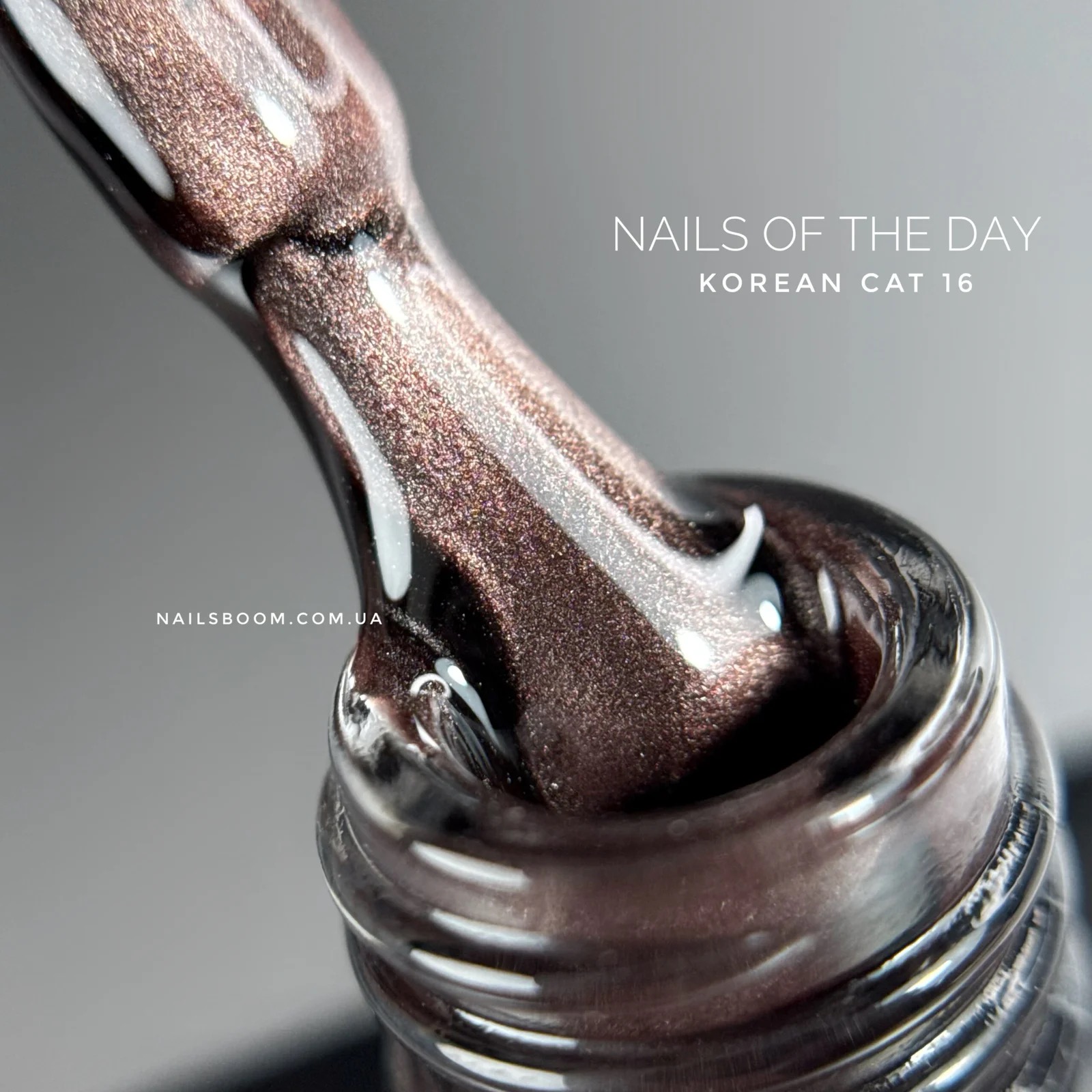 16 Korean cat eye vernis semi permanent 10 ml sans Hema - NOTD
