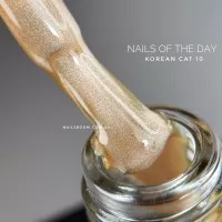 10 Korean cat eye vernis semi permanent 10 ml sans Hema - NOTD