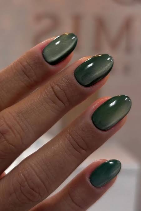 17 Korean cat eye vernis semi permanent 10 ml sans Hema - NOTD – Image 3