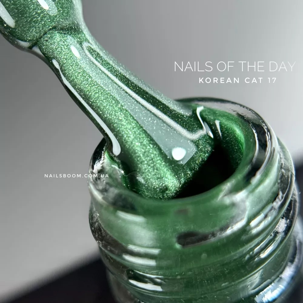 17 Korean cat eye vernis semi permanent 10 ml sans Hema - NOTD